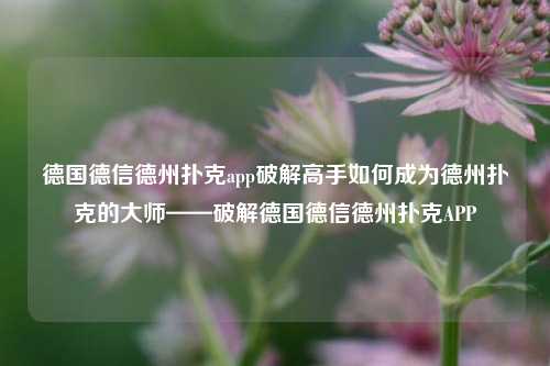 德国德信德州扑克app破解高手如何成为德州扑克的大师——破解德国德信德州扑克APP