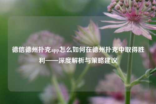 德信德州扑克app怎么如何在德州扑克中取得胜利——深度解析与策略建议