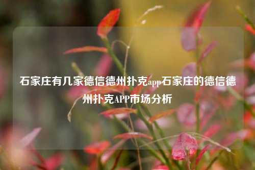 石家庄有几家德信德州扑克app石家庄的德信德州扑克APP市场分析