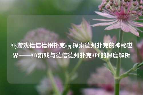 91y游戏德信德州扑克app探索德州扑克的神秘世界——91Y游戏与德信德州扑克APP的深度解析
