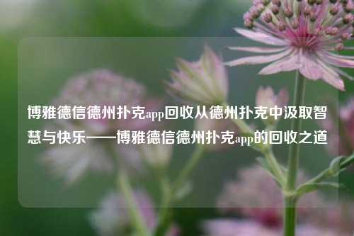博雅德信德州扑克app回收从德州扑克中汲取智慧与快乐——博雅德信德州扑克app的回收之道