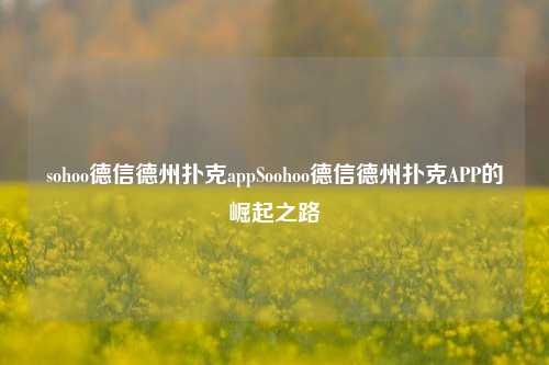 sohoo德信德州扑克appSoohoo德信德州扑克APP的崛起之路