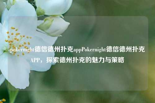 pokernight德信德州扑克appPokernight德信德州扑克APP，探索德州扑克的魅力与策略