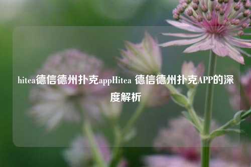 hitea德信德州扑克appHitea 德信德州扑克APP的深度解析