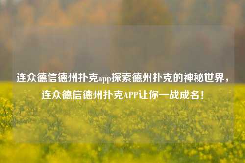 连众德信德州扑克app探索德州扑克的神秘世界，连众德信德州扑克APP让你一战成名！