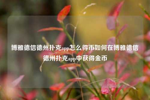 博雅德信德州扑克app怎么得币如何在博雅德信德州扑克app中获得金币