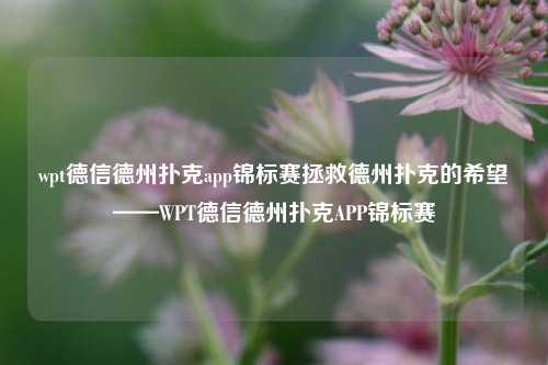 wpt德信德州扑克app锦标赛拯救德州扑克的希望——WPT德信德州扑克APP锦标赛