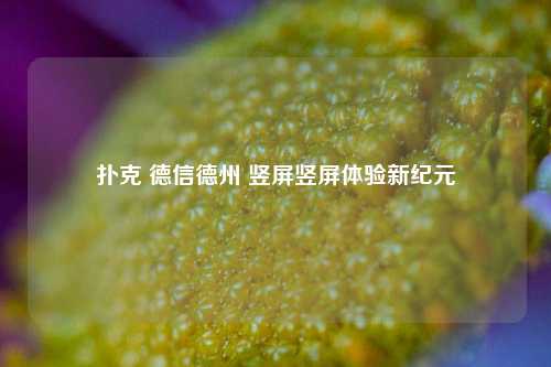 扑克 德信德州 竖屏竖屏体验新纪元