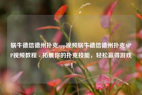 蜗牛德信德州扑克app视频蜗牛德信德州扑克APP视频教程 - 拓展你的扑克技能，轻松赢得游戏！