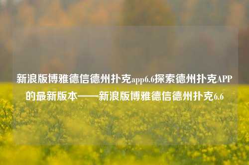 新浪版博雅德信德州扑克app6.6探索德州扑克APP的最新版本——新浪版博雅德信德州扑克6.6