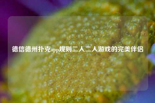 德信德州扑克app规则二人二人游戏的完美伴侣