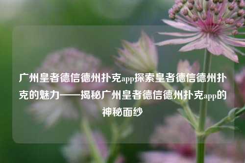 广州皇者德信德州扑克app探索皇者德信德州扑克的魅力——揭秘广州皇者德信德州扑克app的神秘面纱