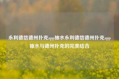 永利德信德州扑克app抽水永利德信德州扑克app抽水与德州扑克的完美结合