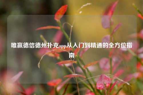 唯赢德信德州扑克app从入门到精通的全方位指南