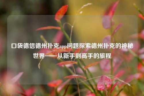 口袋德信德州扑克app问题探索德州扑克的神秘世界——从新手到高手的旅程