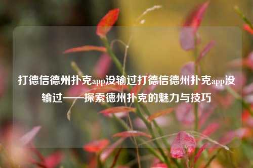 打德信德州扑克app没输过打德信德州扑克app没输过——探索德州扑克的魅力与技巧
