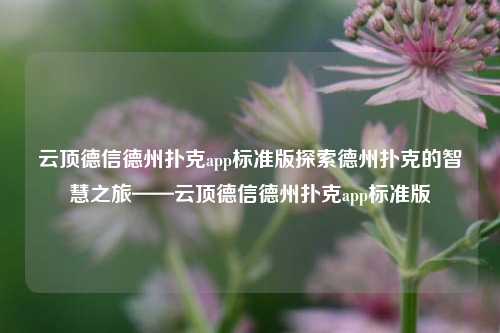 云顶德信德州扑克app标准版探索德州扑克的智慧之旅——云顶德信德州扑克app标准版