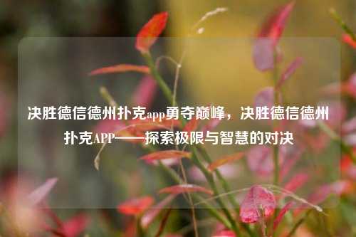 决胜德信德州扑克app勇夺巅峰，决胜德信德州扑克APP——探索极限与智慧的对决