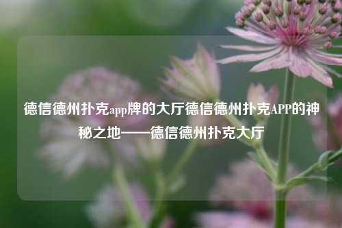 德信德州扑克app牌的大厅德信德州扑克APP的神秘之地——德信德州扑克大厅
