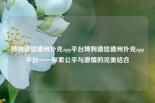 博狗德信德州扑克app平台博狗德信德州扑克app平台——探索公平与激情的完美结合
