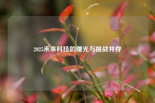 2025未来科技的曙光与挑战并存