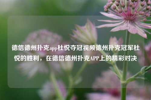 德信德州扑克app杜悦夺冠视频德州扑克冠军杜悦的胜利，在德信德州扑克APP上的精彩对决