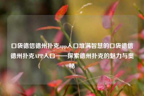 口袋德信德州扑克app入口堆满智慧的口袋德信德州扑克APP入口——探索德州扑克的魅力与奥秘