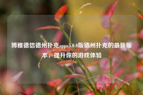 博雅德信德州扑克appv5.0.0版德州扑克的最新版本，提升你的游戏体验