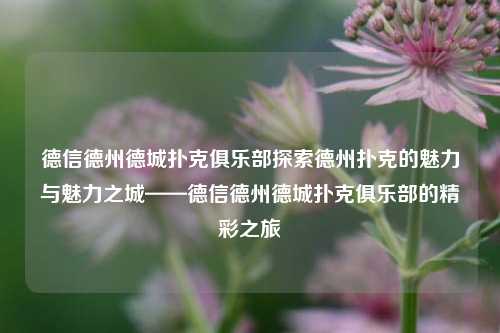 德信德州德城扑克俱乐部探索德州扑克的魅力与魅力之城——德信德州德城扑克俱乐部的精彩之旅