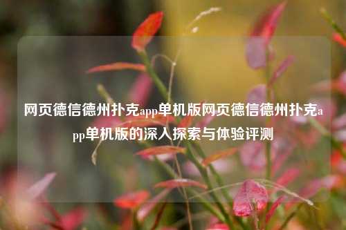 网页德信德州扑克app单机版网页德信德州扑克app单机版的深入探索与体验评测