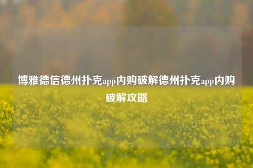 博雅德信德州扑克app内购破解德州扑克app内购破解攻略