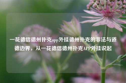 一花德信德州扑克app外挂德州扑克的非法与道德边界，从一花德信德州扑克APP外挂说起