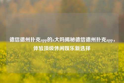 德信德州扑克app的a大吗揭秘德信德州扑克app，体验顶级休闲娱乐新选择