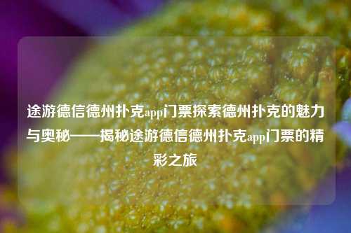 途游德信德州扑克app门票探索德州扑克的魅力与奥秘——揭秘途游德信德州扑克app门票的精彩之旅