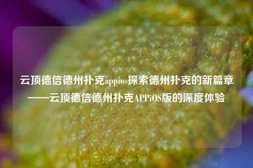 云顶德信德州扑克appios探索德州扑克的新篇章——云顶德信德州扑克APPiOS版的深度体验
