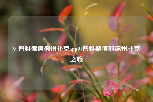 91博雅德信德州扑克app91博雅德信的德州扑克之旅
