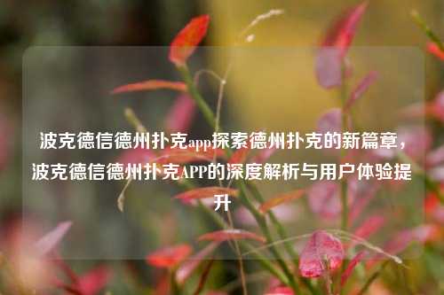 波克德信德州扑克app探索德州扑克的新篇章，波克德信德州扑克APP的深度解析与用户体验提升