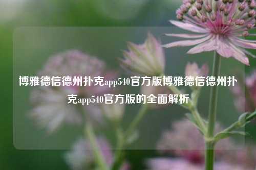 博雅德信德州扑克app540官方版博雅德信德州扑克app540官方版的全面解析