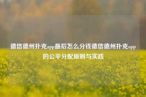 德信德州扑克app最后怎么分钱德信德州扑克app的公平分配原则与实践