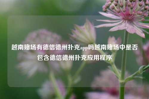 越南赌场有德信德州扑克app吗越南赌场中是否包含德信德州扑克应用程序