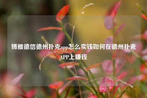 博雅德信德州扑克app怎么卖钱如何在德州扑克APP上赚钱
