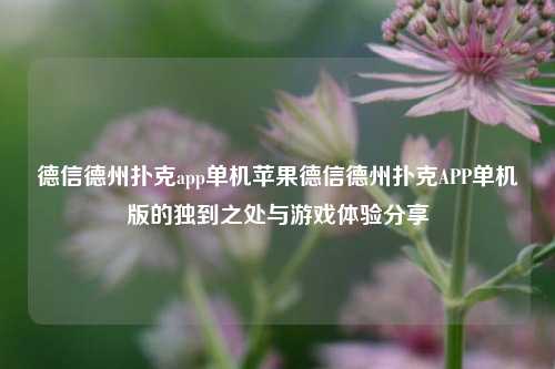 德信德州扑克app单机苹果德信德州扑克APP单机版的独到之处与游戏体验分享