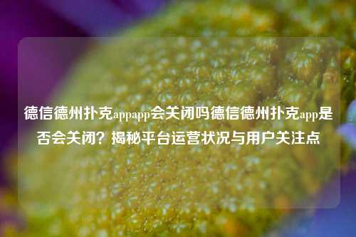 德信德州扑克appapp会关闭吗德信德州扑克app是否会关闭？揭秘平台运营状况与用户关注点