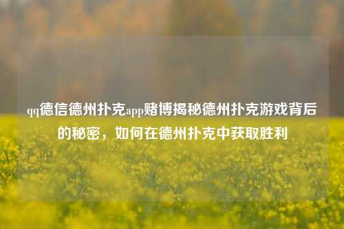 qq德信德州扑克app赌博揭秘德州扑克游戏背后的秘密，如何在德州扑克中获取胜利
