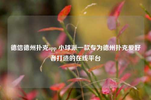 德信德州扑克app 小球派一款专为德州扑克爱好者打造的在线平台