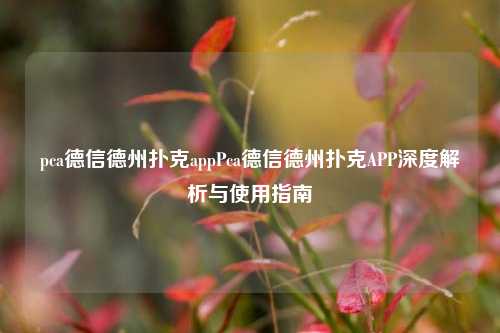 pca德信德州扑克appPca德信德州扑克APP深度解析与使用指南