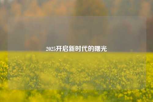 2025开启新时代的曙光