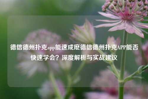 德信德州扑克app能速成麽德信德州扑克APP能否快速学会？深度解析与实战建议