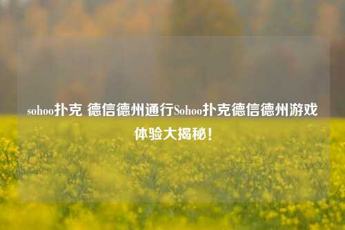 sohoo扑克 德信德州通行Sohoo扑克德信德州游戏体验大揭秘！