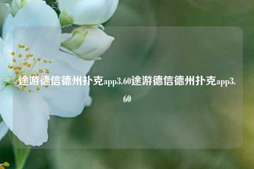 途游德信德州扑克app3.60途游德信德州扑克app3.60